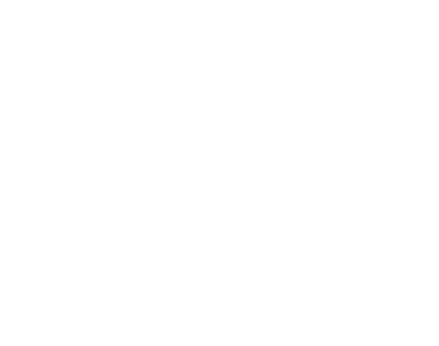Goal Solar Logo